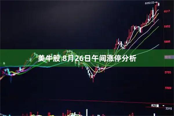 美牛股 8月26日午间涨停分析