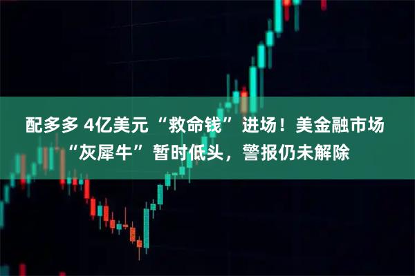 配多多 4亿美元 “救命钱” 进场！美金融市场 “灰犀牛” 暂时低头，警报仍未解除